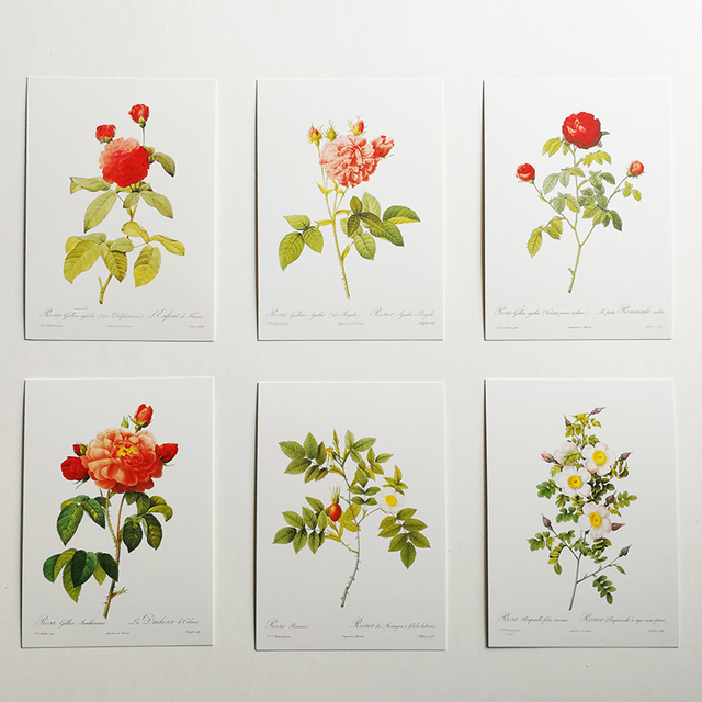 Wizytownik z 32 sztukami Rose pocztówki Les Roses Pierre-Joseph Redoute 153 x110mm - Wianko - 2