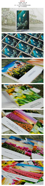 30 kartek z życzeniami i grafiką: tulipany, pocztówki, świąteczne i noworoczne - Wianko - 1