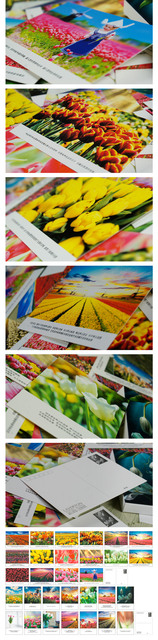 30 kartek z życzeniami i grafiką: tulipany, pocztówki, świąteczne i noworoczne - Wianko - 2