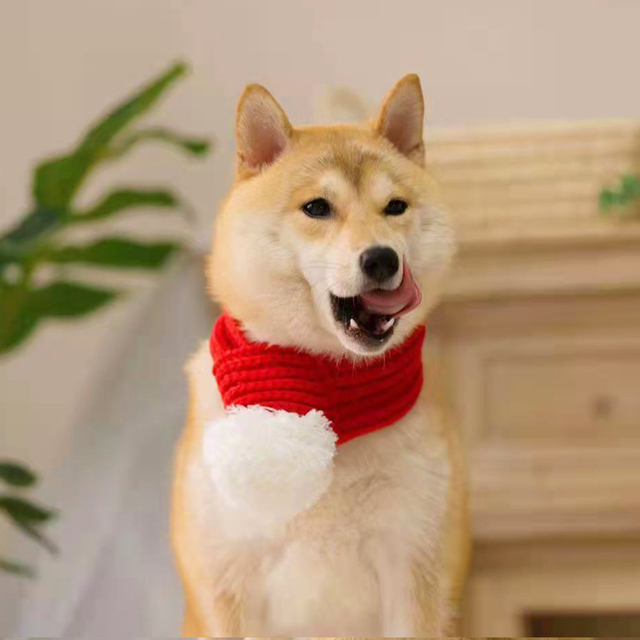 Zimowy szalik wełniany dla psów - świąteczna moda, czerwony kolor - Wianko - 3