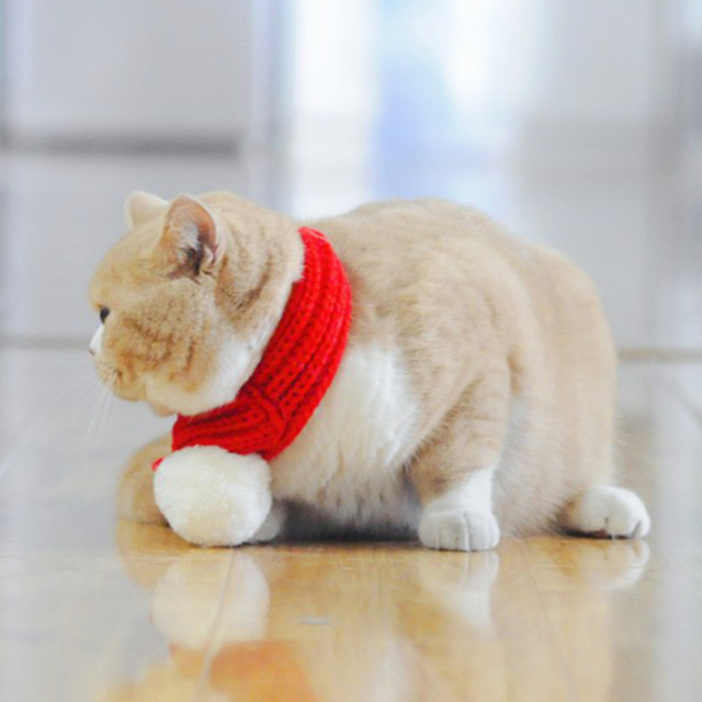 Zimowy szalik wełniany dla psów - świąteczna moda, czerwony kolor - Wianko - 4