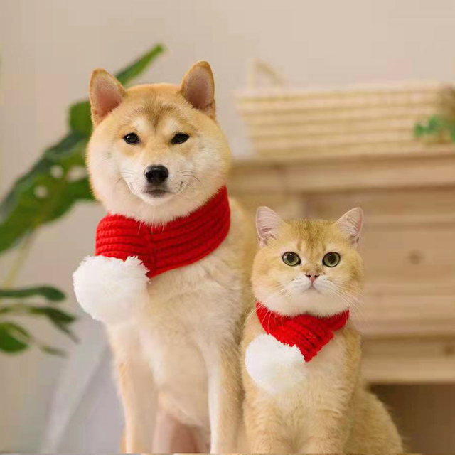 Zimowy szalik wełniany dla psów - świąteczna moda, czerwony kolor - Wianko - 2