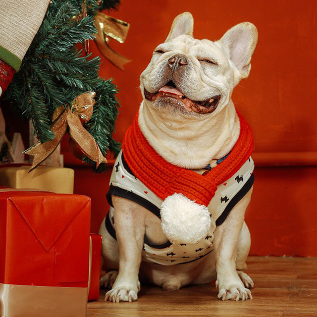 Zimowy szalik wełniany dla psów - świąteczna moda, czerwony kolor - Wianko - 7