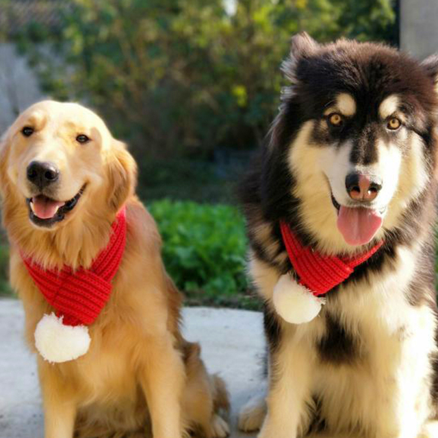 Zimowy szalik wełniany dla psów - świąteczna moda, czerwony kolor - Wianko - 5