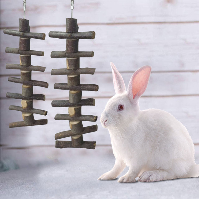 Gryzak dla królików Bunny Pet - naturalne drewniane żerdzie do gryzienia z jabłkowym smakiem - Wianko - 3