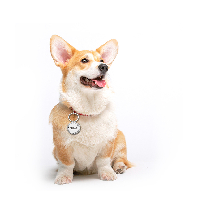 Personalizowany grawerowany identyfikator dla psa - wisiorek na obrożę z darmowym grawerowaniem, dla kotów i szczeniąt, zapobiegający zgubieniu - Wianko - 7