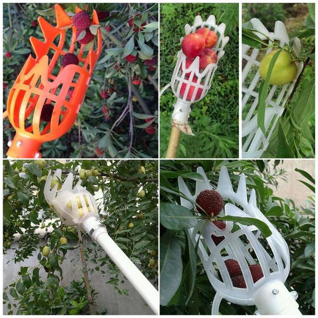 Zbierak do owoców Onvenient - narzędzie ogrodnicze do owoce zbieranie w szklarniach - Wianko - 5