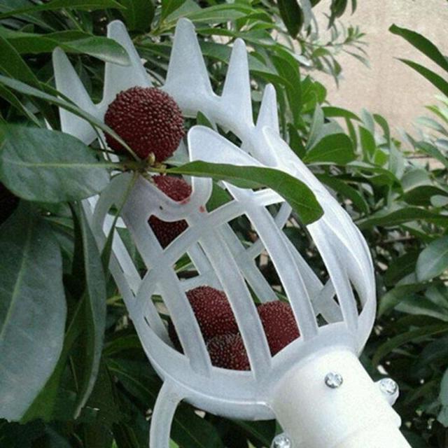 Zbierak do owoców Onvenient - narzędzie ogrodnicze do owoce zbieranie w szklarniach - Wianko - 3
