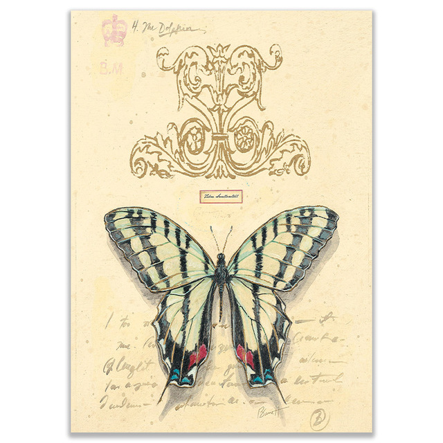 Plakat na ścianę - Vintage Fashion Butterfly, owad natura, malarstwo i kaligrafia, przedszkole, wystrój salonu, płótno malarskie dla dzieci - Wianko - 14