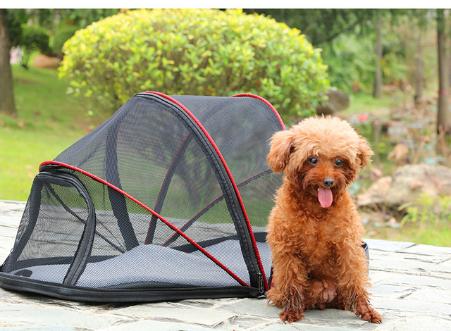 Składany namiot dla małych i średnich psów i kotów - oddychający i przenośny - Wianko - 18