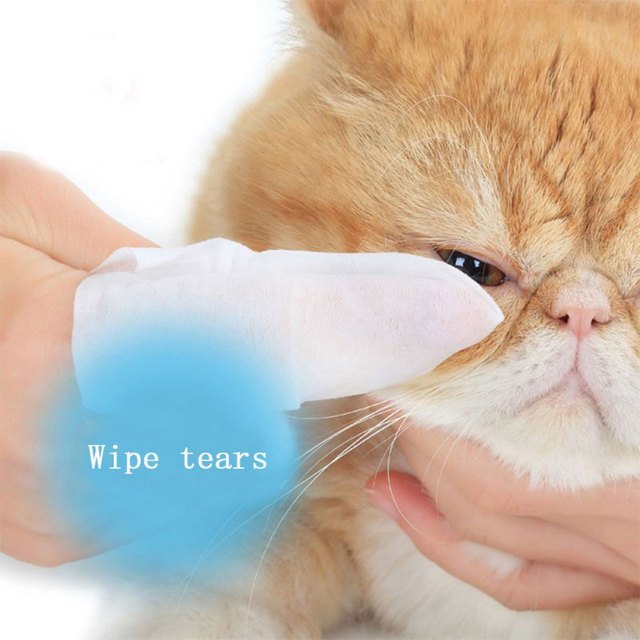 Chusteczki nawilżane Pet dla kota - dezodorant czyste, 1 opakowanie (10 sztuk) - Wianko - 5