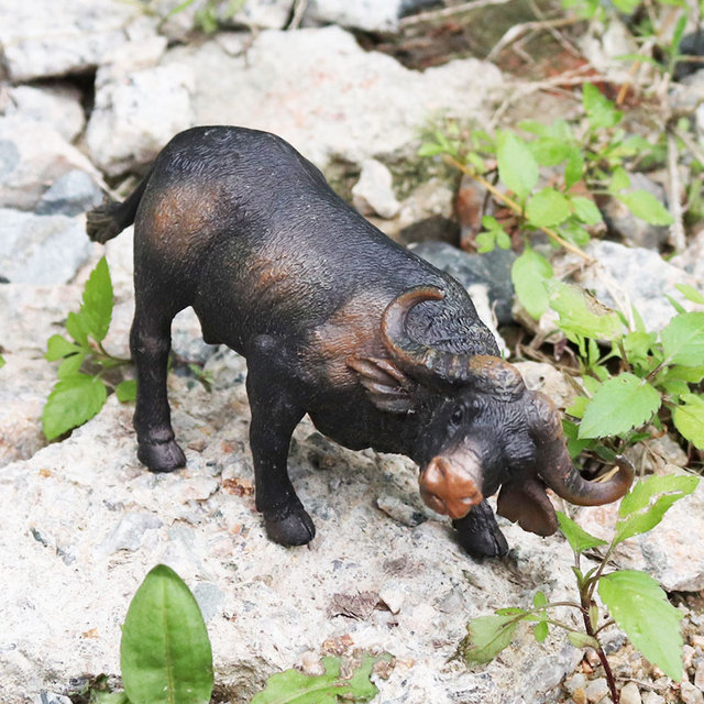 Figurka dzikich zwierząt Oenux: ełk, niedźwiedź, krokodyl, wąż - model do kolekcji zabawek dla dzieci - Wianko - 27