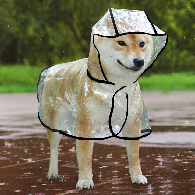 Wodoodporny płaszcz przeciwdeszczowy dla psów z kapturem przezroczysty - Wianko - 3