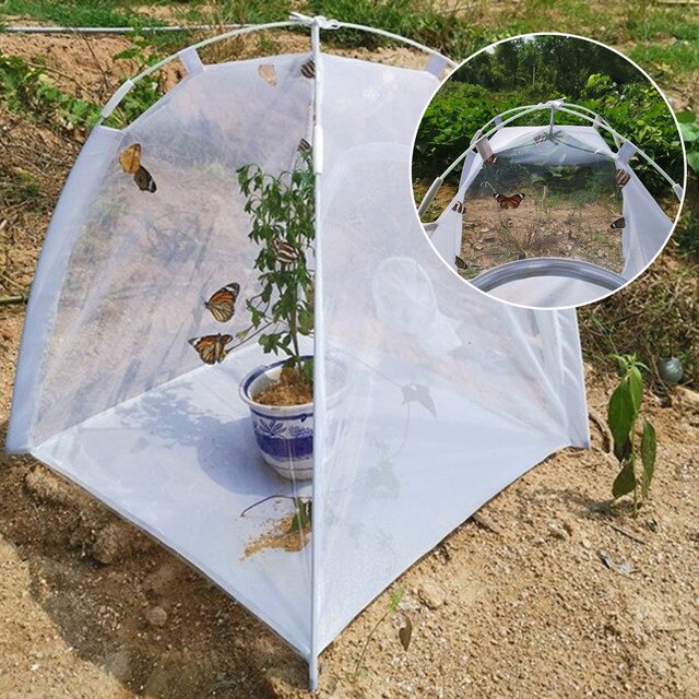 Szklarnia domowa rozkładana zautomatyzowaną pokrywą - ochrona roślin przed zimowymi mrozami - Wianko - 1