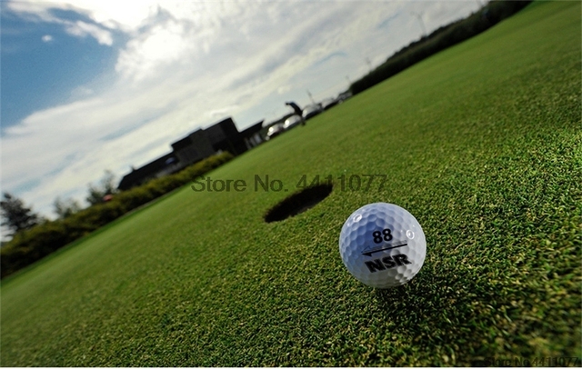Piłka golfowa PGM 10 sztuk dwuczęściowa/dwie warstwy długodystansowa D1135 - Wianko - 11