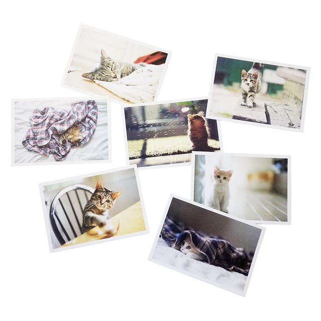 28 sztuk/partia Pocztówek Vintage z uroczymi kotami - piękna seria kartek z życzeniami na Nowy Rok - Wianko - 6