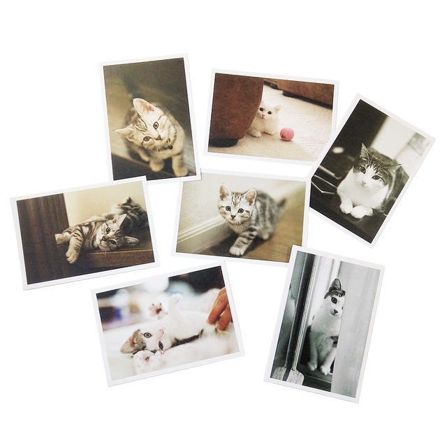 28 sztuk/partia Pocztówek Vintage z uroczymi kotami - piękna seria kartek z życzeniami na Nowy Rok - Wianko - 5