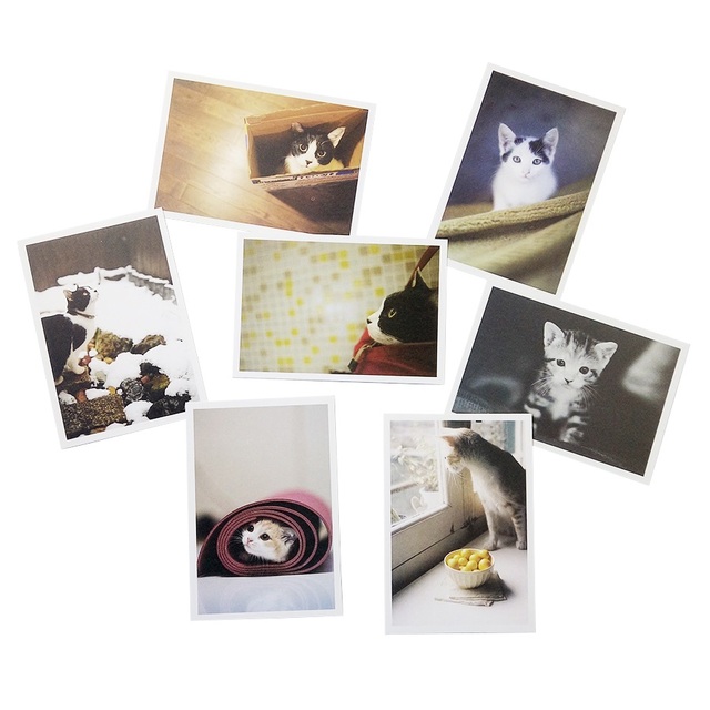 28 sztuk/partia Pocztówek Vintage z uroczymi kotami - piękna seria kartek z życzeniami na Nowy Rok - Wianko - 7