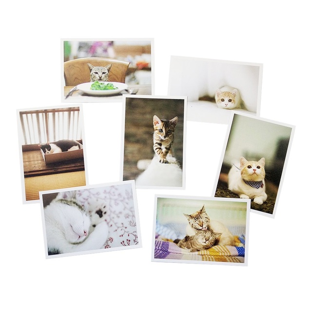 28 sztuk/partia Pocztówek Vintage z uroczymi kotami - piękna seria kartek z życzeniami na Nowy Rok - Wianko - 8
