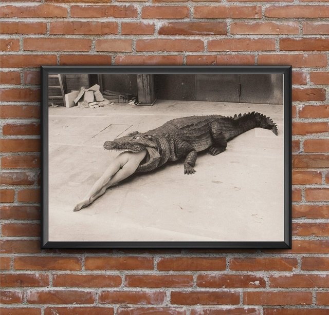 Plakat na płótnie Helmut Newton - scena z baletu Pina Bausch - krokodyl bez ramek (dekoracja ścienna) - Wianko - 1