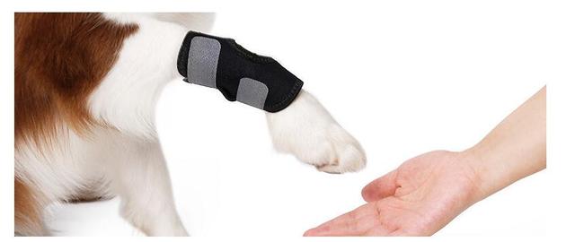 Ochronne rękawki z przodu i z tyłu dla psów z krótkimi nogami - zapobiegają urazom i zwichnięciom, chroniąc rany przed zwierzętami domowymi - Wianko - 5