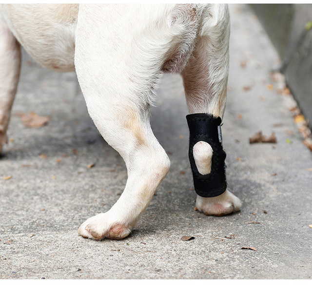 Ochronne rękawki z przodu i z tyłu dla psów z krótkimi nogami - zapobiegają urazom i zwichnięciom, chroniąc rany przed zwierzętami domowymi - Wianko - 8