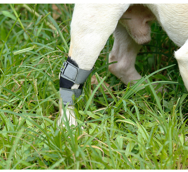 Ochronne rękawki z przodu i z tyłu dla psów z krótkimi nogami - zapobiegają urazom i zwichnięciom, chroniąc rany przed zwierzętami domowymi - Wianko - 6