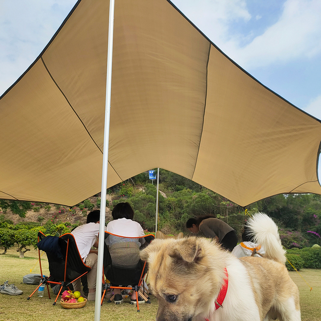 Duża plandeka wodoodporna Octagon 5.1x5.1m - namiot przeciwsłoneczny schronisko ogrodowe z baldachimem na plażę i wycieczki - Wianko - 16