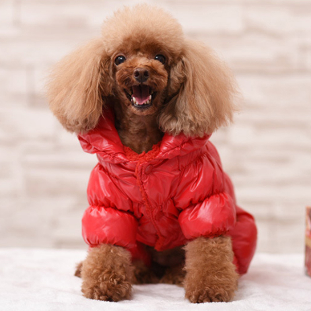 Ciepłe zimowe ubrania wiatroszczelne dla psów - płaszcz kurtka ocieplane, szczenięcą kamizelkę Chihuahua, mopsy - Wianko - 14