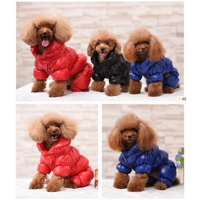 Ciepłe zimowe ubrania wiatroszczelne dla psów - płaszcz kurtka ocieplane, szczenięcą kamizelkę Chihuahua, mopsy - Wianko - 11
