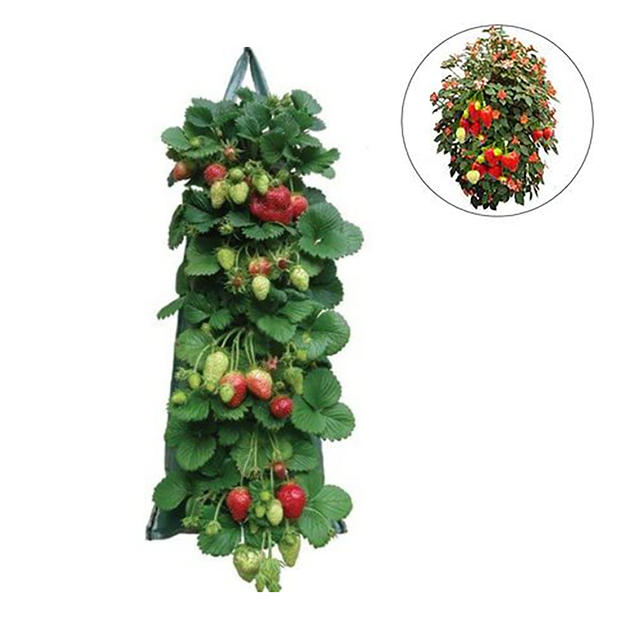 Ściana wisząca torba do sadzenia i rosnąca - pionowy ogród warzywny i truskawkowy - stylowa torba kwiatowa do sadzenia w ogrodzie - Wianko - 1