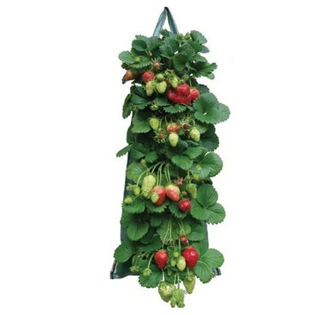 Ściana wisząca torba do sadzenia i rosnąca - pionowy ogród warzywny i truskawkowy - stylowa torba kwiatowa do sadzenia w ogrodzie - Wianko - 2