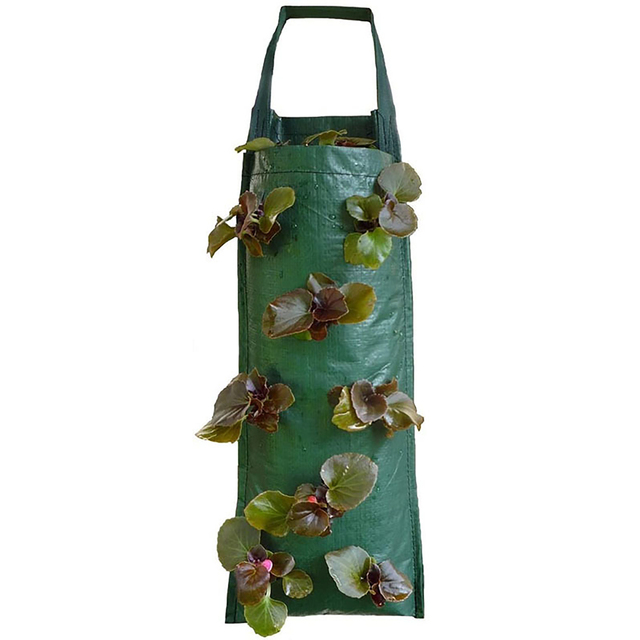 Ściana wisząca torba do sadzenia i rosnąca - pionowy ogród warzywny i truskawkowy - stylowa torba kwiatowa do sadzenia w ogrodzie - Wianko - 3