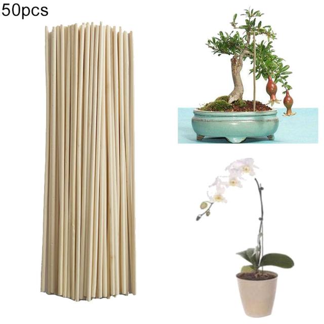 50 sztuk bambusa roślin z podporą ogrodową - Wianko - 1