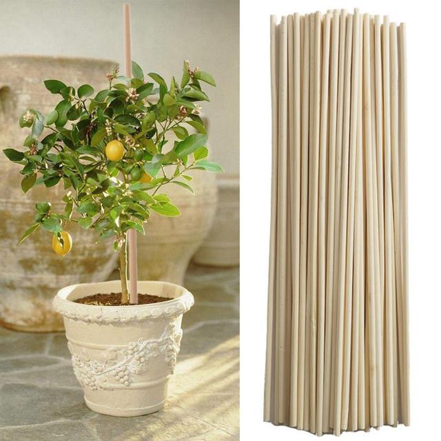 50 sztuk bambusa roślin z podporą ogrodową - Wianko - 2