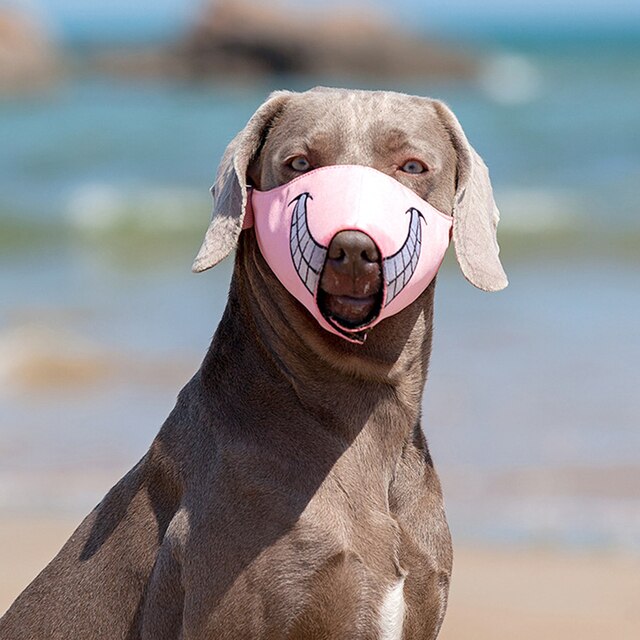 Kaganiec Miflame dla dużych psów Greyhound, regulowany, ochrona ust przed szczekaniem i zapewnienie świeżego powietrza dla zwierząt domowych - Wianko - 6