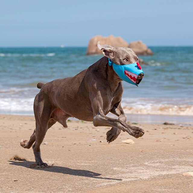 Kaganiec Miflame dla dużych psów Greyhound, regulowany, ochrona ust przed szczekaniem i zapewnienie świeżego powietrza dla zwierząt domowych - Wianko - 3