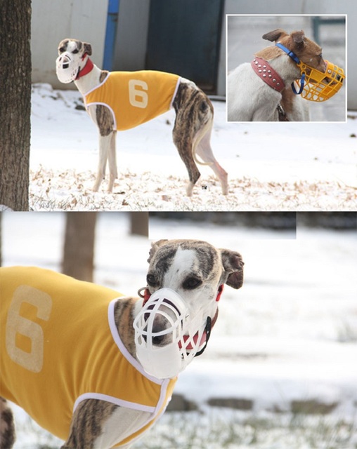 Maseczka higieniczna regulowana dla psów - kaganiec anti-bark zabezpiecza przed gryzieniem dla Greyhound, Gree Whippet - Wianko - 15