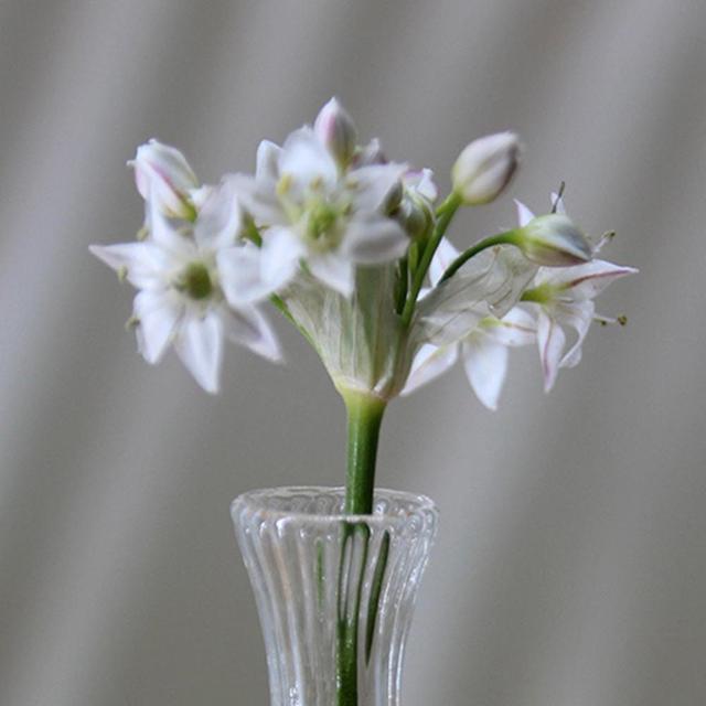 Domek dla lalek - delikatny model w formie miniaturowego szklanego wazonu do dekoracji i zabawy - Wianko - 4