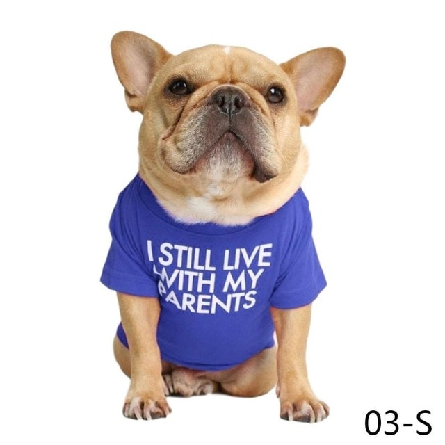 Koszulka z kapturem dla psa buldog francuski - nowoczesny design, wysoka jakość, miękka tkanina, oddychająca, letnia moda - Wianko - 9