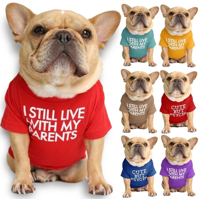 Koszulka z kapturem dla psa buldog francuski - nowoczesny design, wysoka jakość, miękka tkanina, oddychająca, letnia moda - Wianko - 3