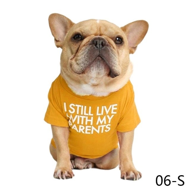 Koszulka z kapturem dla psa buldog francuski - nowoczesny design, wysoka jakość, miękka tkanina, oddychająca, letnia moda - Wianko - 12