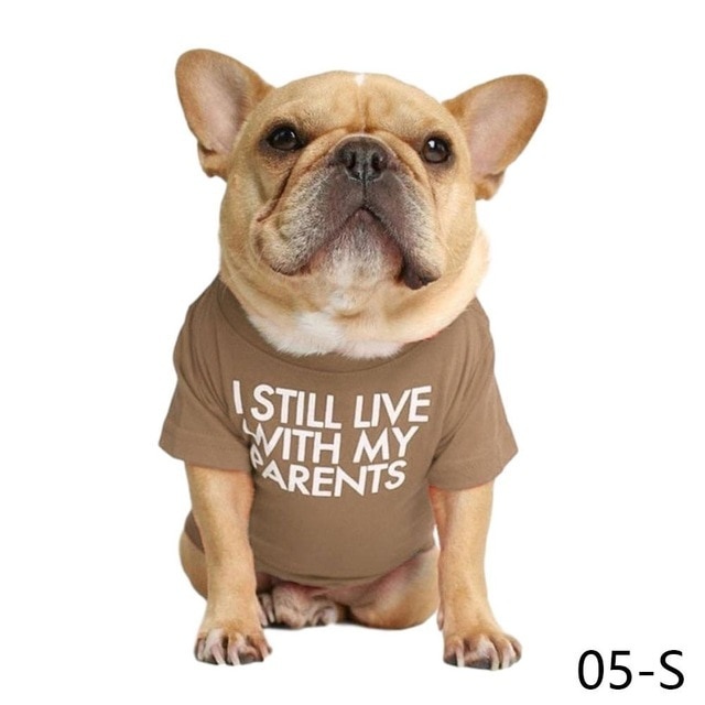 Koszulka z kapturem dla psa buldog francuski - nowoczesny design, wysoka jakość, miękka tkanina, oddychająca, letnia moda - Wianko - 11