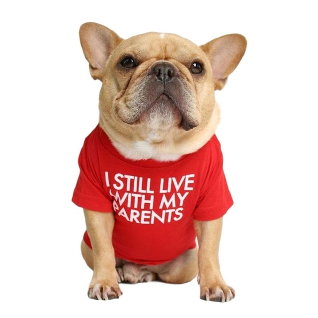 Koszulka z kapturem dla psa buldog francuski - nowoczesny design, wysoka jakość, miękka tkanina, oddychająca, letnia moda - Wianko - 7