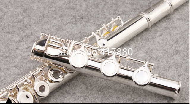 Profesjonalny flet instrument wielu modeli 471 211 271 312 411 - srebrny, 16/17 otworów, wysokiej jakości w przypadku - Wianko - 2