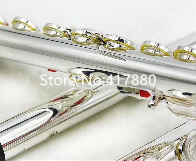 Profesjonalny flet instrument wielu modeli 471 211 271 312 411 - srebrny, 16/17 otworów, wysokiej jakości w przypadku - Wianko - 3