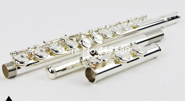 Profesjonalny flet instrument wielu modeli 471 211 271 312 411 - srebrny, 16/17 otworów, wysokiej jakości w przypadku - Wianko - 6