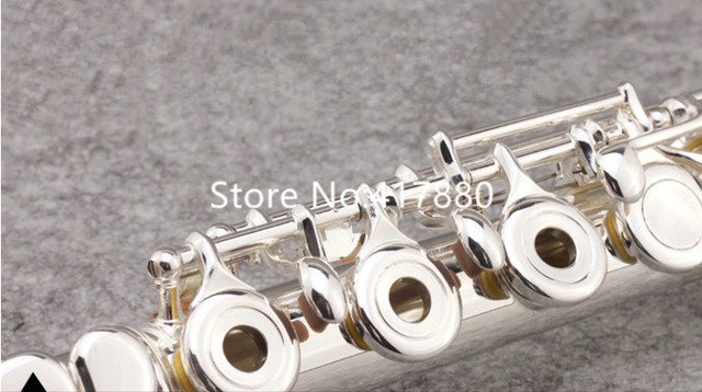 Profesjonalny flet instrument wielu modeli 471 211 271 312 411 - srebrny, 16/17 otworów, wysokiej jakości w przypadku - Wianko - 4