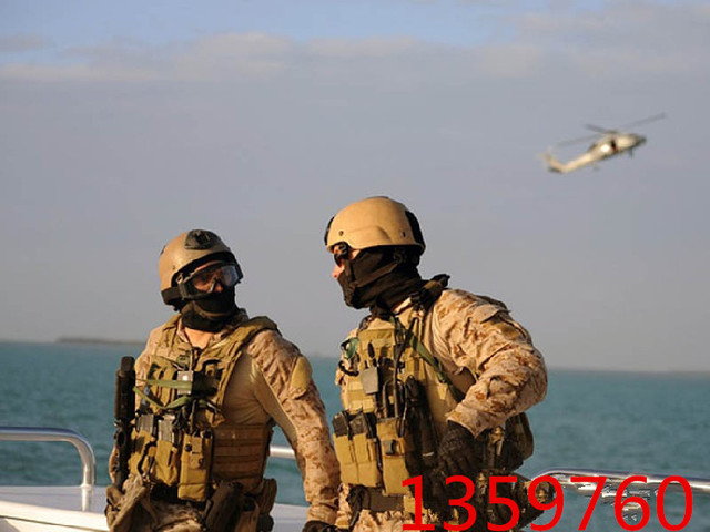 Kamizelka i spodnie wojskowe EMERSON BDU Gen2 z ochraniaczami piasek ST hotelu EM6976 - Wianko - 8