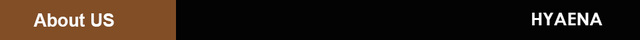 Hyaena Weedless Jig - 6 szt. głowka ołowiowa z gumową spódnicą na hak z Weedguard - przynęta na okonia - Wianko - 26